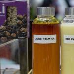 Palmino ulje: šteta i korist za ljudsko zdravlje