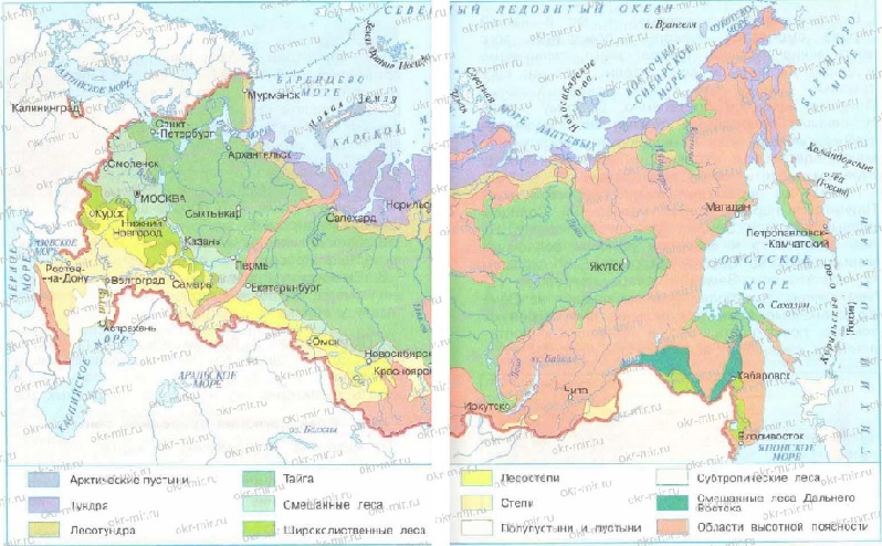 Food chains (steppe, forest-steppe)
