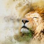 Tähtkuju ja Hiina horoskoop: Lõvi – Rott Roti aasta, sodiaagimärk Lõvi