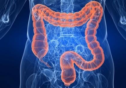 Symptoms and treatment of intestinal colitis