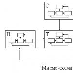 Structural-Functional Construct (SFC)