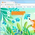 Društvena mreža Odnoklassniki - “Moja stranica