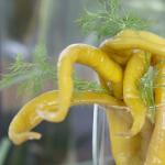 Marineeritud terav paprika talveks “Gusarskiy Vürtsikad terved paprikad talveks retseptid