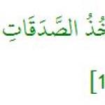 Allah, Todopoderoso y Grande, dijo: “Ciertamente, Allah no perdona la comunión con él.