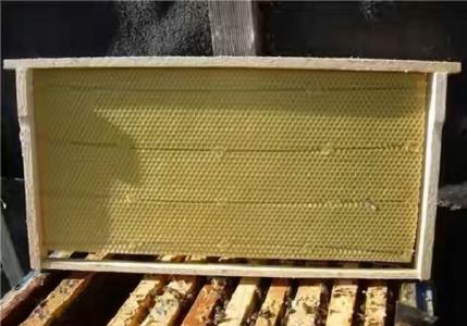 Kako napraviti pčelinju košnicu vlastitim rukama